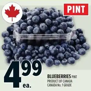 Metro Blueberries offer