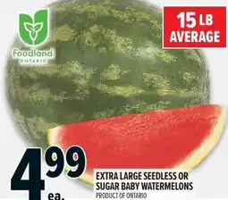 Metro Extra large seedless or sugar baby watermelons offer