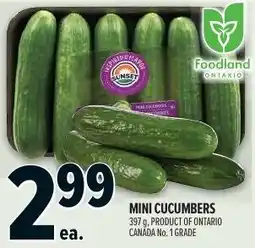 Metro Mini Cucumbers offer