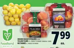 Metro Ontario baskets peaches, yellow plums, nectarines offer