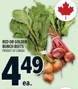 Metro Red or golden bunch beets offer