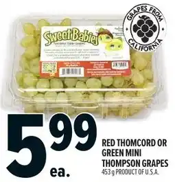 Metro Red thomcord or green mini thompson grapes offer