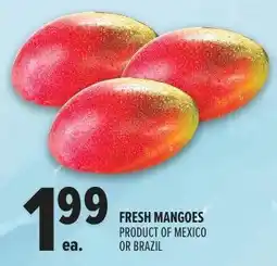Metro Fresh Mangoes offer