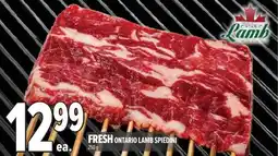 Metro Fresh ontario lamb spiedini offer