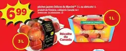 Maxi Pêches jaunes délices du marché mc 3 l ou abricots offer