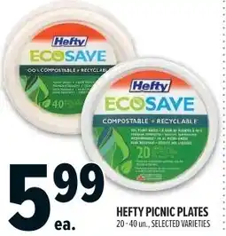 Metro Hefty picnic plates offer