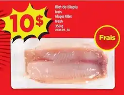 Maxi Filet de tilapia frais tilapia fillet fresh offer