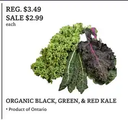 The Big Carrot ORGANIC BLACK, GREEN, & RED KALE offer