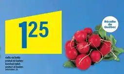 Maxi Radis en botte produit du québec bunched radish product of quebec offer