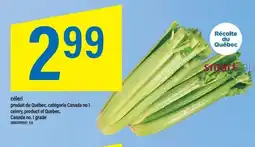 Maxi Céleri produit du québec, catégorie canada no 1 celery, product of quebec, canada no. 1 grade offer