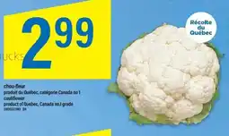 Maxi Chou-fleur produit du québec, catégorie canada no 1 cauliflower offer