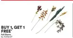 Michaels Fall Stems offer