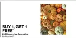 Michaels Fall decorative pumpkins offer