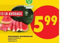 No Frills Sugarbaby watermelon offer