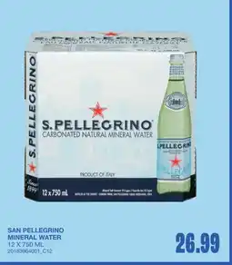 Wholesale Club San pellegrino mineral water offer