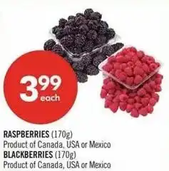Shoppers Drug Mart Raspberries, usa or mexico blackberries offer