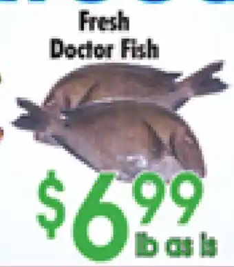 Danforth Food Market Fresh Doctor Fish offer