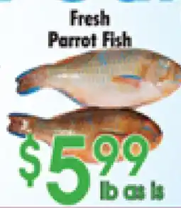 Danforth Food Market Fresh Parrot Fish offer