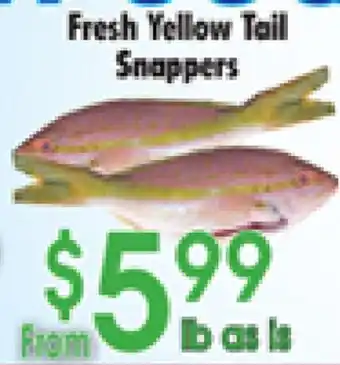 Danforth Food Market Fresh Yellow Tail Snappers offer