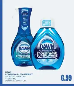 Wholesale Club Dawn power wash starter kit offer