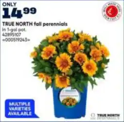 RONA TRUE NORTH fall perennials offer