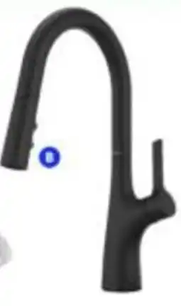 RONA Ceylon pull- down kitchen faucet offer