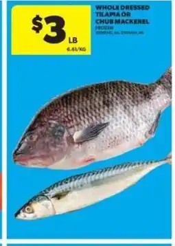 Real Canadian Superstore Whole dressed tilapia or chub mackerel frozen offer