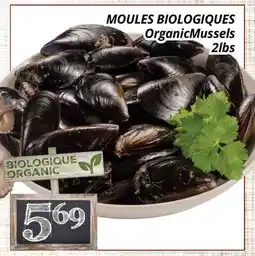 Supermarché PA MOULES BIOLOGIQUES | Organic Mussels offer