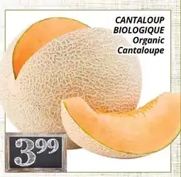 Supermarché PA CANTALOUP BIOLOGIQUE | Organic Cantaloupe offer