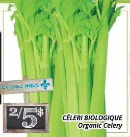 Supermarché PA CÉLERI BIOLOGIQUE | Organic Celery offer
