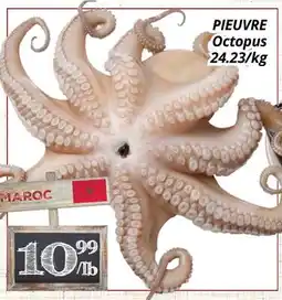 Supermarché PA PIEUVRE | Octopus offer