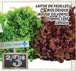 Supermarché PA LAITUE EN FEUILLES BIOLOGIQUE | Organic Leaf Lettuce offer