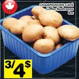 Supermarché PA CHAMPIGNONS CAFÉ | Coffee Mushrooms offer