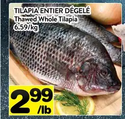 Supermarché PA TILAPIA ENTIER DÉGELÉ | Thawed Whole Tilapia offer