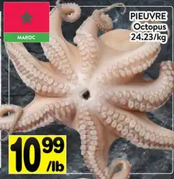 Supermarché PA PIEUVRE | Octopus offer