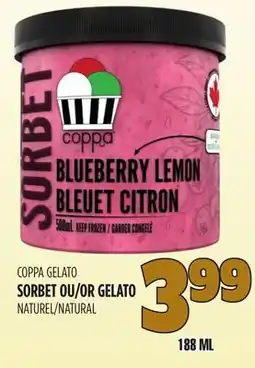 Marches Tau SORBET OU GELATO NATUREL COPPA GELATO offer