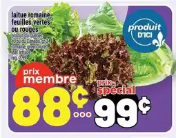 Metro Laitue romaine, feuilles vertes ou rouges offer