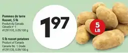 Giant Tiger Russet potatoes offer