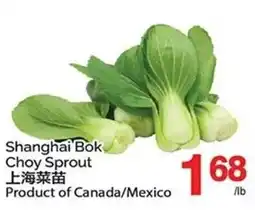 T&T Supermarket Shanghai Bok Choy Sprout offer