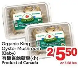 T&T Supermarket Organic King Oyster Mushroom offer