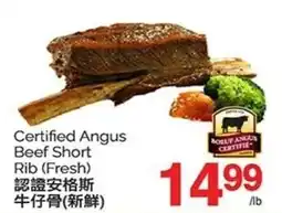 T&T Supermarket Certified Angus Beef Short Rib (Fresh) offer