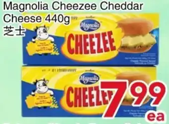 Magnolia Cheezee Cheddar Cheese