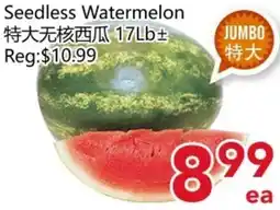 Yours Food Mart Seedless Watermelon offer