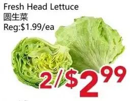 Yours Food Mart Fresh Head Lettuce offer