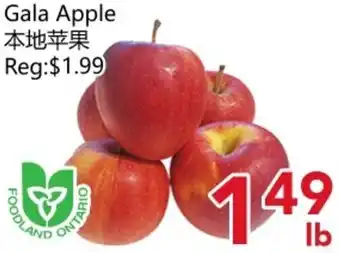 Yours Food Mart Gala Apple offer