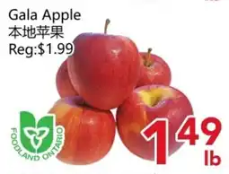 Yours Food Mart Gala Apple offer