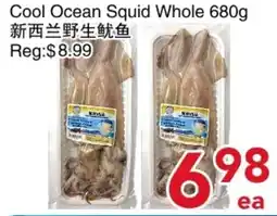 Yours Food Mart Cool Ocean Squid Whole offer
