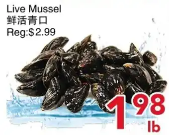 Yours Food Mart Live Mussel offer