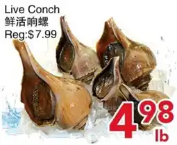 Yours Food Mart Live Conch offer