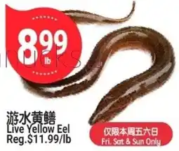 SunFood Supermarket Live Yellow Eel offer